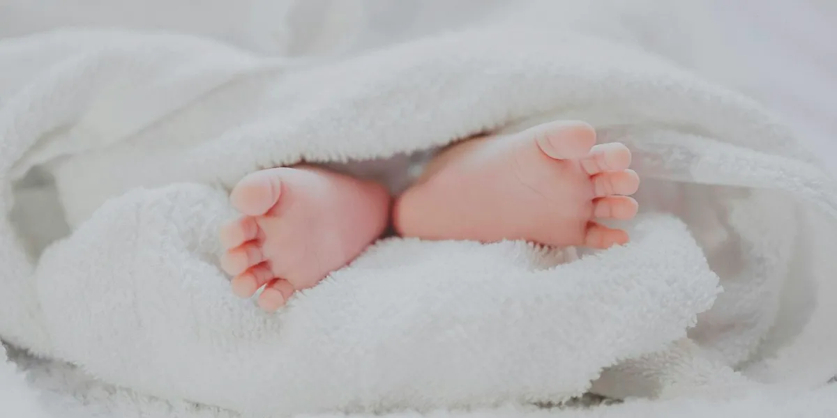 Panduan Kursi Keamanan Anak untuk Perjalanan via Tol